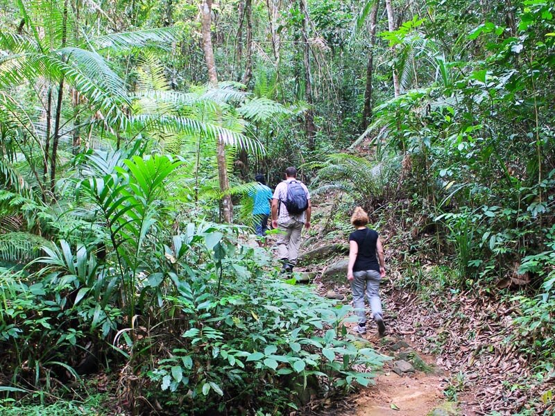 Sinharaja Forest Reserve